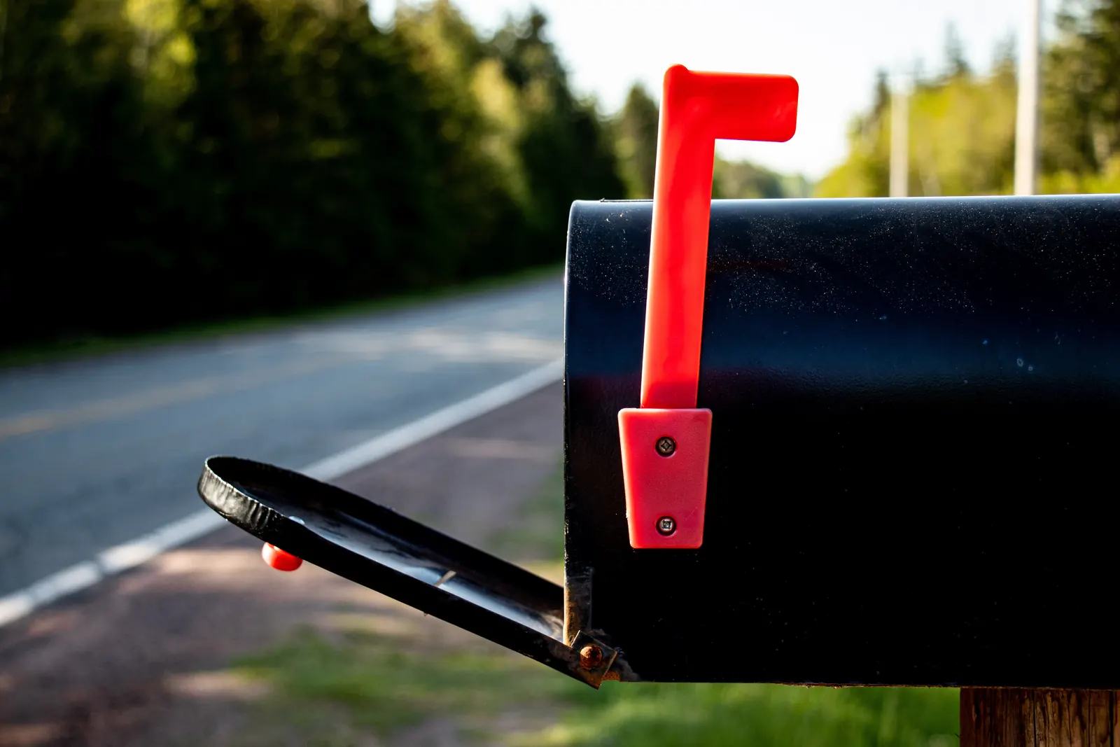 An open black mailbox with its red flag raised, beside a country road lined with trees