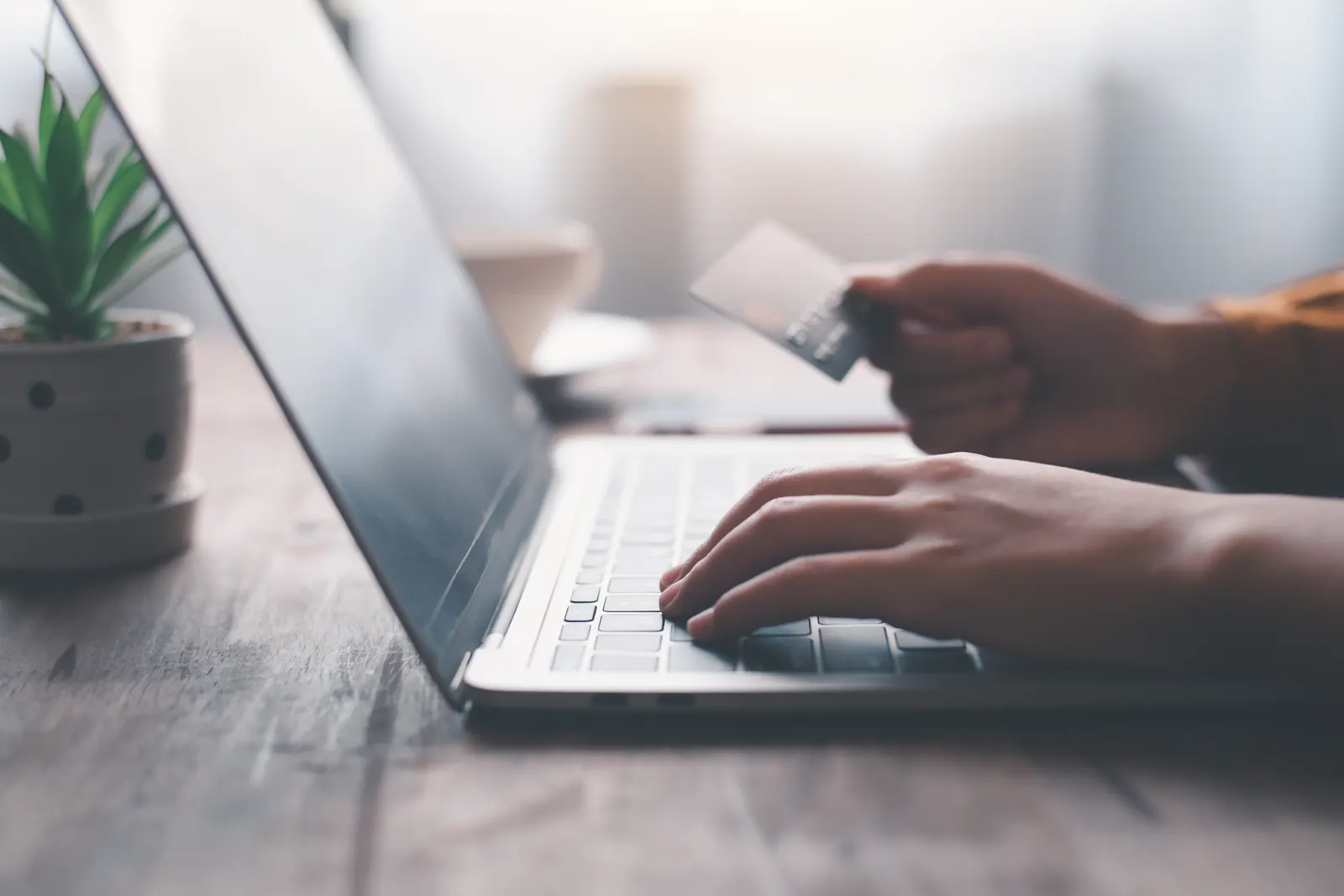 Hands typing on a laptop at a wooden table, one of them holding up a payment card, with a potted plant beside the laptop